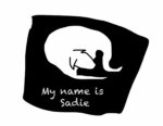 Drawing of a white dog on a black mat with text saying "My name is Sadie"