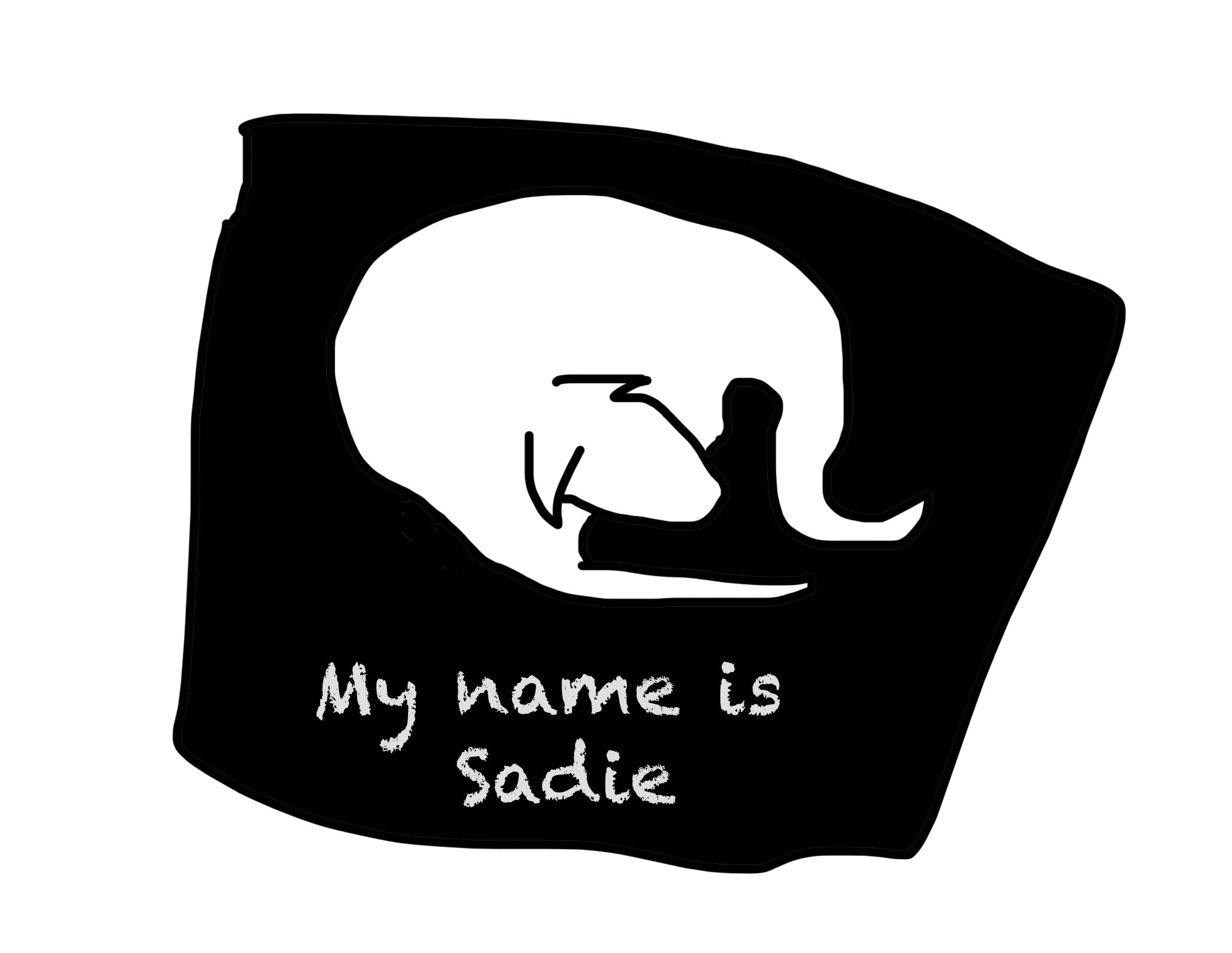 Drawing of a white dog on a black mat with text saying "My name is Sadie"