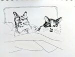 Link to How to Draw Cats class - Line drawing of two cats together on a chair.